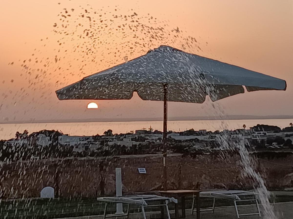 Il Giardino Dei Tramonti Bed & Breakfast Nardò Dış mekan fotoğraf
