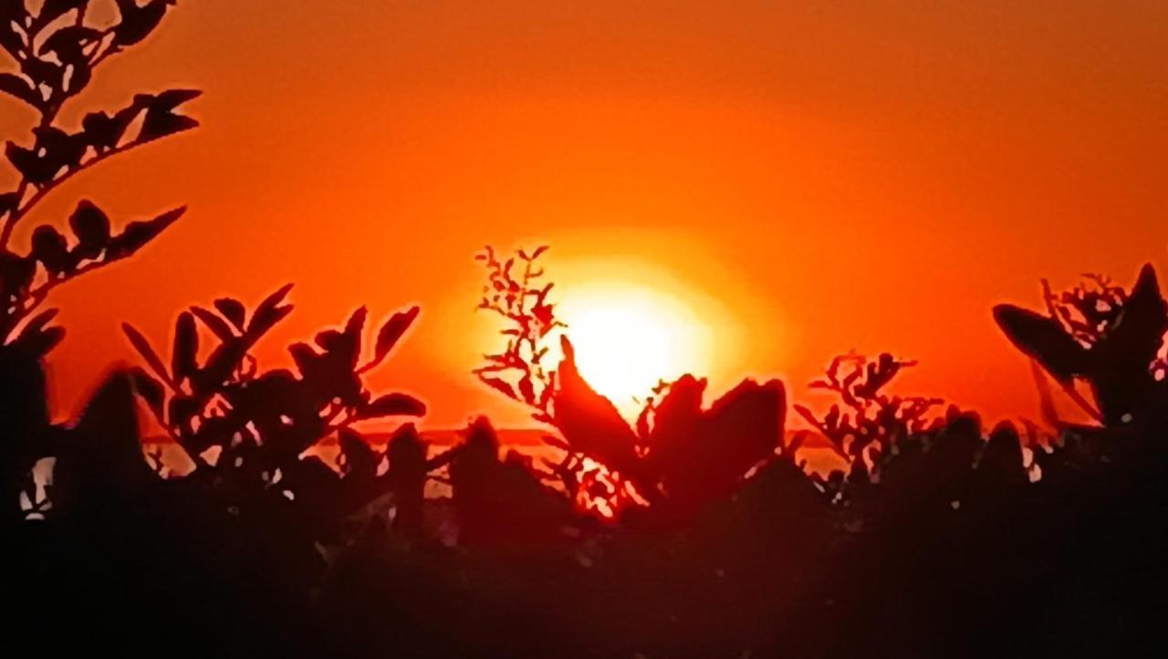 Il Giardino Dei Tramonti Bed & Breakfast Nardò Dış mekan fotoğraf
